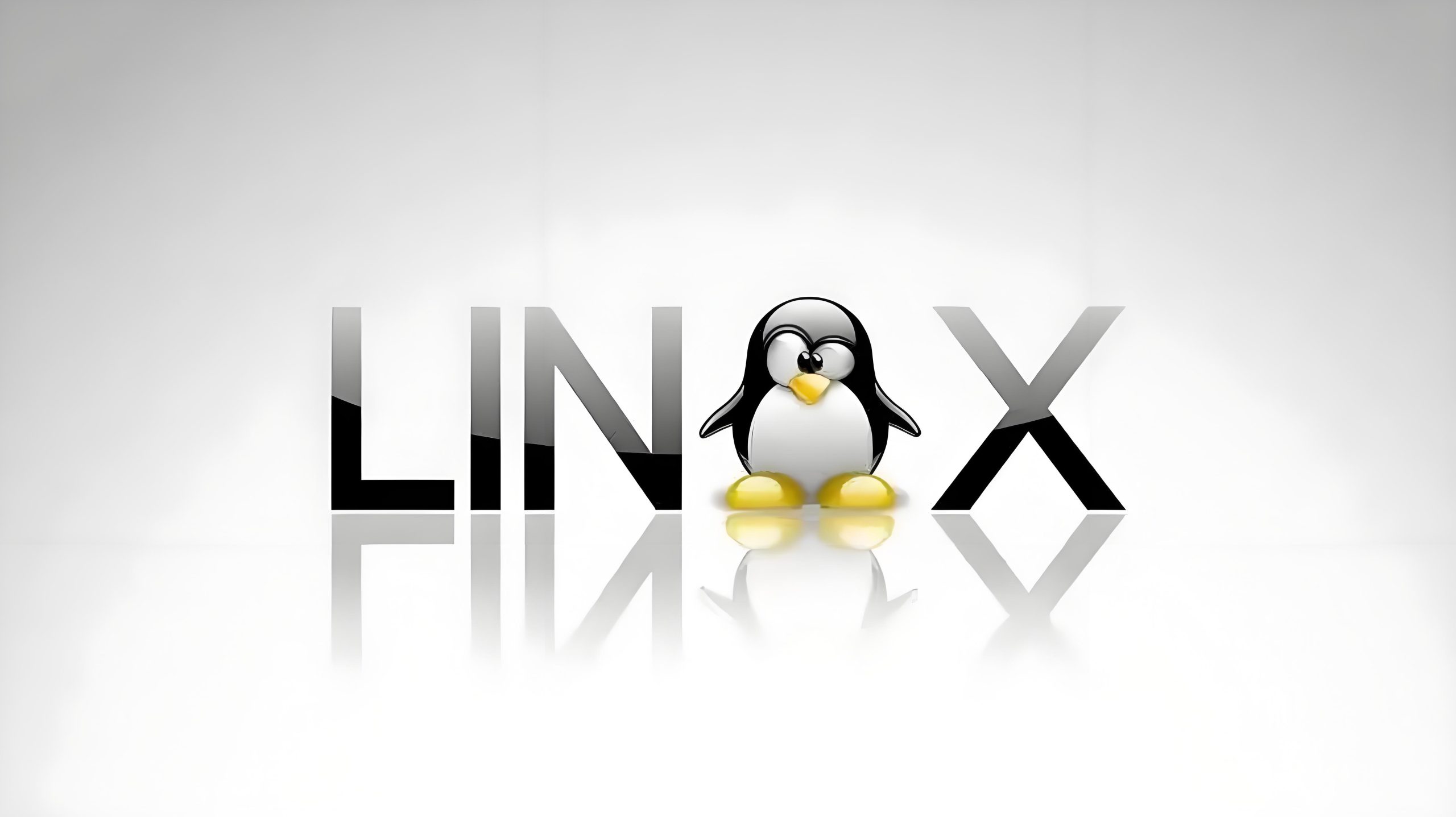 VMware ubuntu22虚拟机不能和主机之间拖拽、复制文件-探云笔记